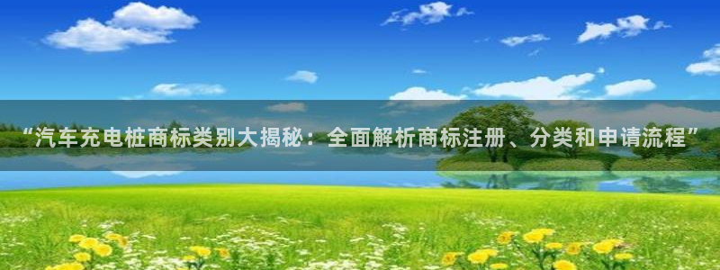 足球威廉希尔初盘还是变盘：“汽车充电桩商标类别大揭秘：全面解析商标注册、分类和申请流程”