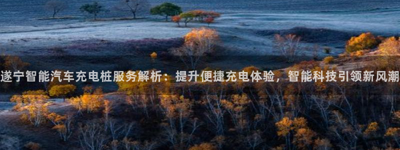 威廉软件：遂宁智能汽车充电桩服务解析：提升便捷充电体验，智能科技引领新风潮