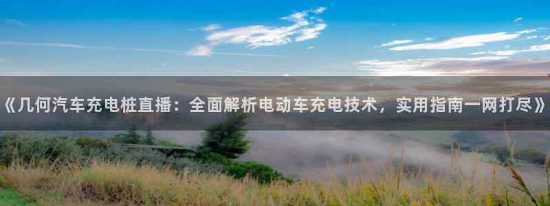 威廉希尔欧赔变盘特点：《几何汽车充电桩直播：全面解析电动车充电技术，实用指南一网打尽》
