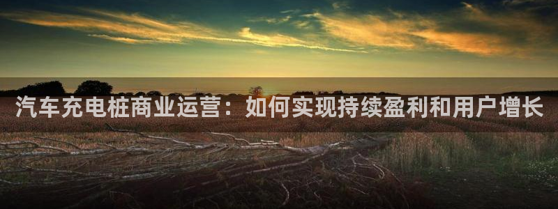 威廉国际校服经典