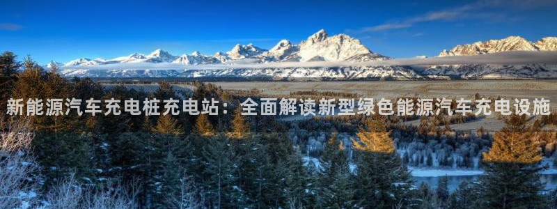威廉希尔胜平负概率：新能源汽车充电桩充电站：全面解读新型绿色能源汽车充电设施