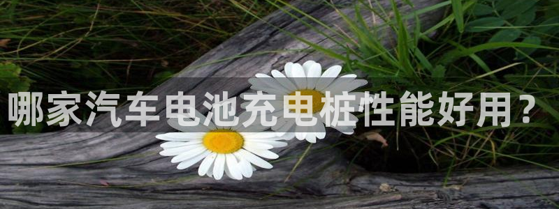 威廉国际马术中心价格