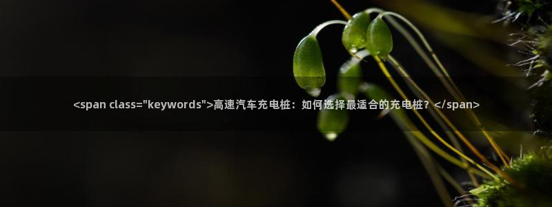 威廉指数100：<span class=\