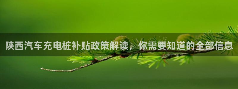 威廉希尔大小球初盘和即时盘：陕西汽车充电桩补贴政策解读，你需要知道的全部信息