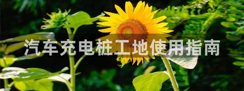 威廉国际马术中心价格