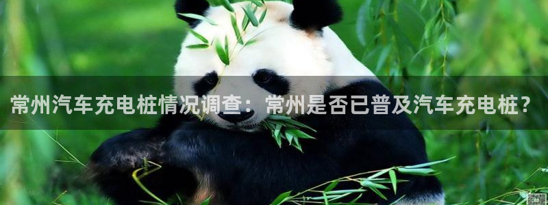 威廉国际平台正规吗：常州汽车充电桩情况调查：常州是否已普及汽车充电桩？