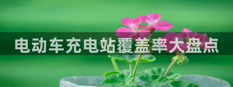 威廉娱乐2023官方版-3.26 Inurl:fayunsi：电动车充电站覆盖率大盘点