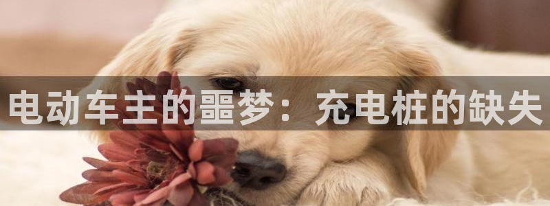 威廉希尔大小球水位：电动车主的噩梦：充电桩的缺失
