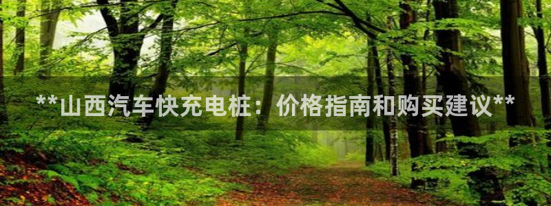 威廉希尔1.3 5.5：**山西汽车快充电桩：价格指南和购买建议**