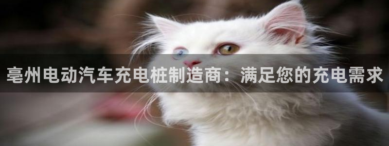 威廉希尔interwetten指数：亳州电动汽车充电桩制造商：满足您的充电需求