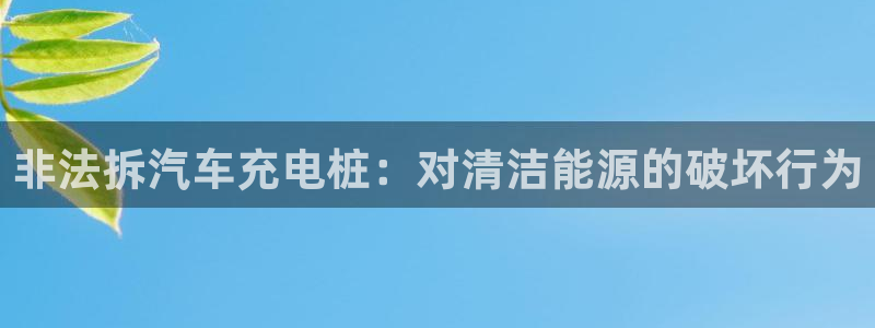 威廉体育官方app下载安卓手机：非法拆汽车充电桩：对清洁能源的破坏行为