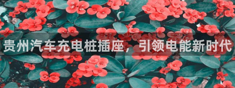 如何看威廉希尔：贵州汽车充电桩插座，引领电能新时代