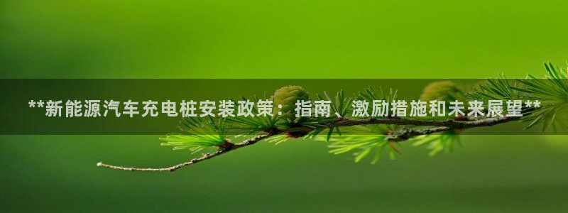 荷甲威廉希尔初赔研究：**新能源汽车充电桩安装政策：指南、激励措施和未来展望**