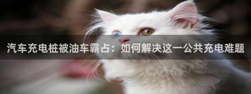 威廉国际公司：汽车充电桩被油车霸占：如何解决这一公共充电难题
