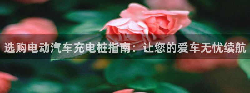 威廉希尔国内打开网址：选购电动汽车充电桩