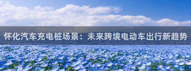 威廉体育下载地址查询：怀化汽车充电桩场景：未来跨境电动车出行新趋势