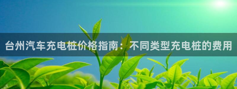 威廉希尔体系有哪些公司：台州汽车充电桩价