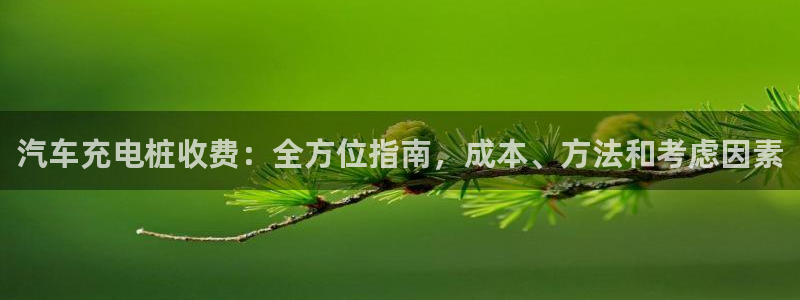 威廉希尔与int对比分析：汽车充电桩收费