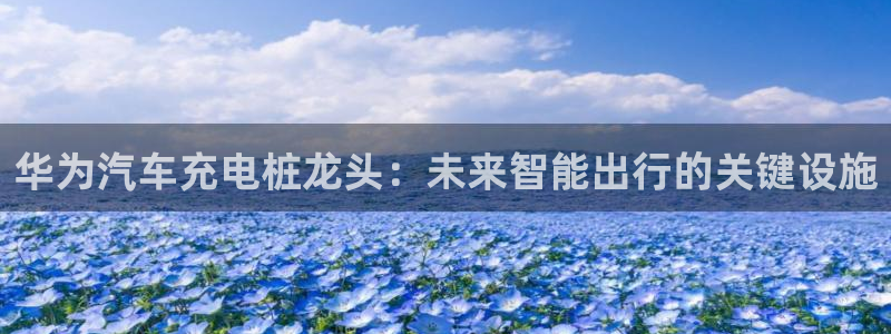 威廉娱乐2023官方版-3.28 Inurl:fayunsi：华为汽车充电桩龙头：未来智能出行的关键设施