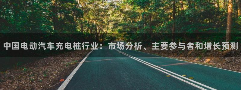 威廉体育官方app下载安装手机版：中国电动汽车充电桩行业：市场分析、主要参与者和增长预测