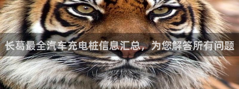 威廉希尔和立博相同项：长葛最全汽车充电桩