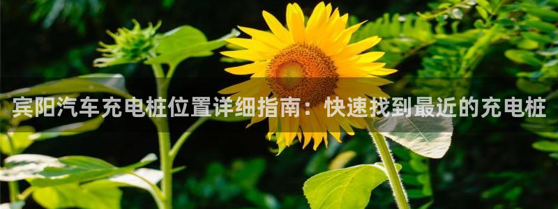 威廉希尔斯：宾阳汽车充电桩位置详细指南：快速找到最近的充电桩