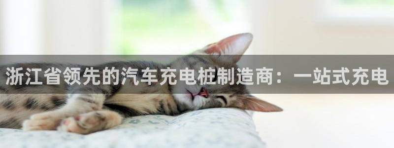 威廉希尔竞彩官方对比：浙江省领先的汽车充电桩制造商：一站式充电