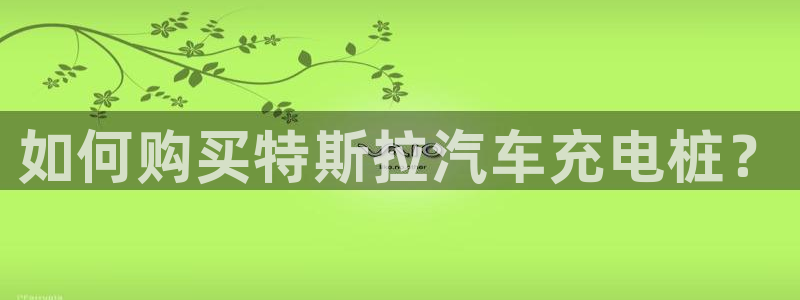威廉希尔没有返水嘛：如何购买特斯拉汽车充电桩？