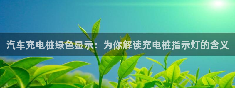 威廉希尔144指的是初盘?：汽车充电桩绿色显示：为你解读充电桩指示灯的含义