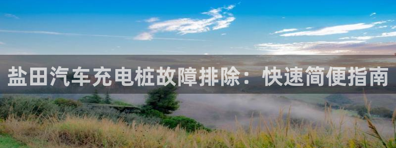 威廉斯国际娱乐网：盐田汽车充电桩故障排除