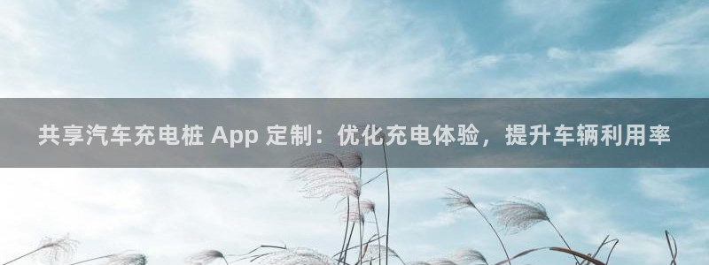 威廉希尔interwetten指数：共享汽车充电桩 App 定制：优化充电体验，提升车辆利用率