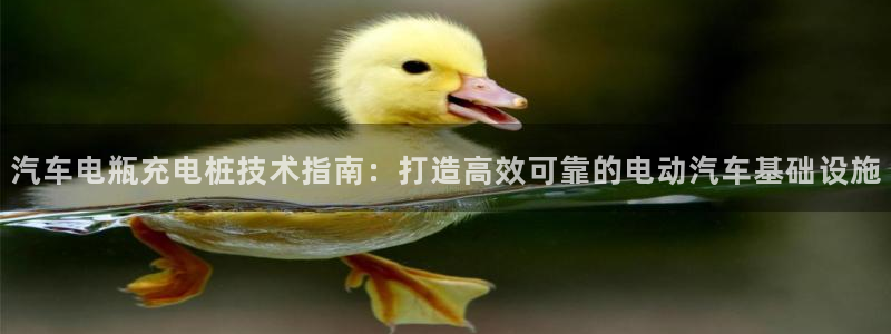 威廉希尔足球网指数：汽车电瓶充电桩技术指南：打造高效可靠的电动汽车基础设施