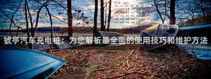 威廉希尔地址在哪：猇亭汽车充电桩：为您解析最全面的使用技巧和维护方法