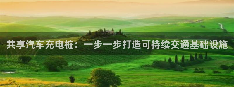 威廉希尔是什么水平的公司：共享汽车充电桩