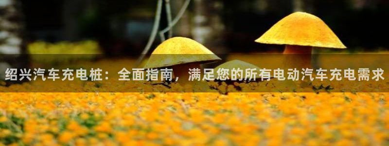 威廉希尔大小球指数怎么看：绍兴汽车充电桩