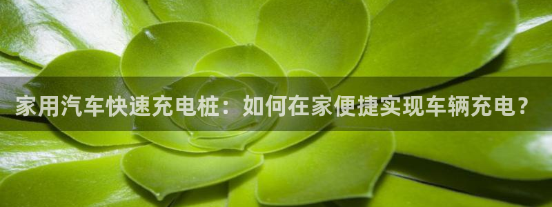 威廉希尔足球分析师是谁：家用汽车快速充电