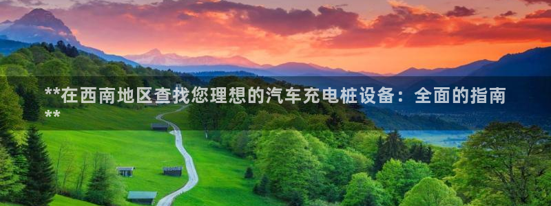 威廉希尔中文官网：**在西南地区查找您理想的汽车充电桩设备：全面的指南
**