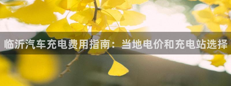 威廉希尔与inter平负比较：临沂汽车充电费用指南：当地电价和充电站选择