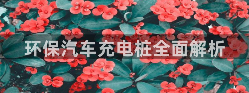 威廉希尔操盘手：环保汽车充电桩全面解析