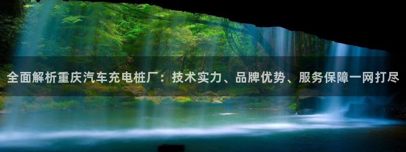 威廉国际校服：全面解析重庆汽车充电桩厂：