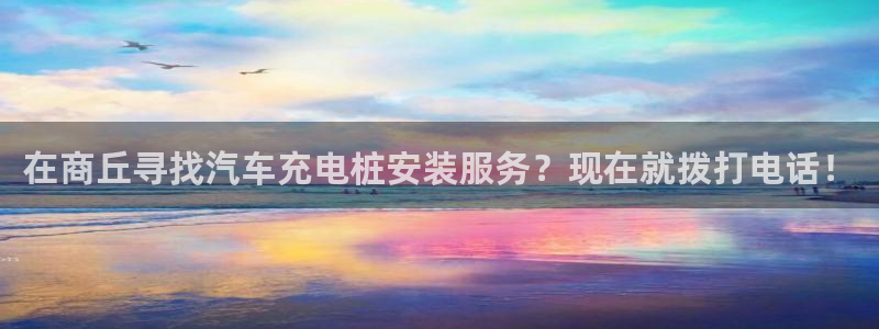 威廉与立博分析技巧：在商丘寻找汽车充电桩